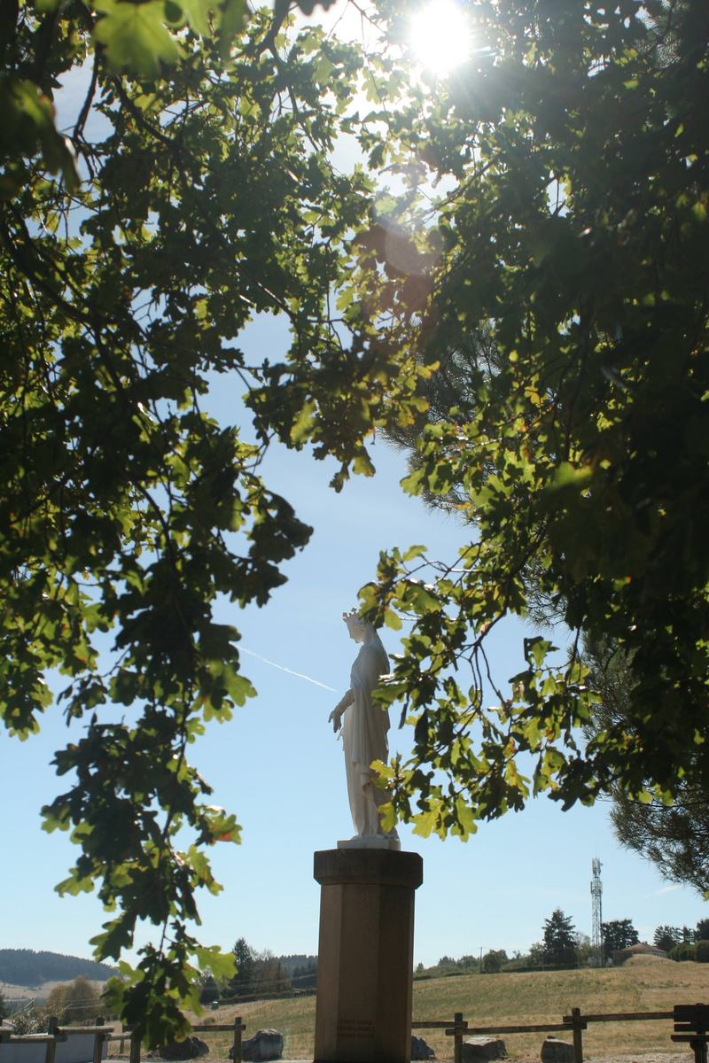 Statue de la Vierge entrevue à travers les branches d'un chêne, avec le ciel et la campagne de Vendranges en arrière-plan.