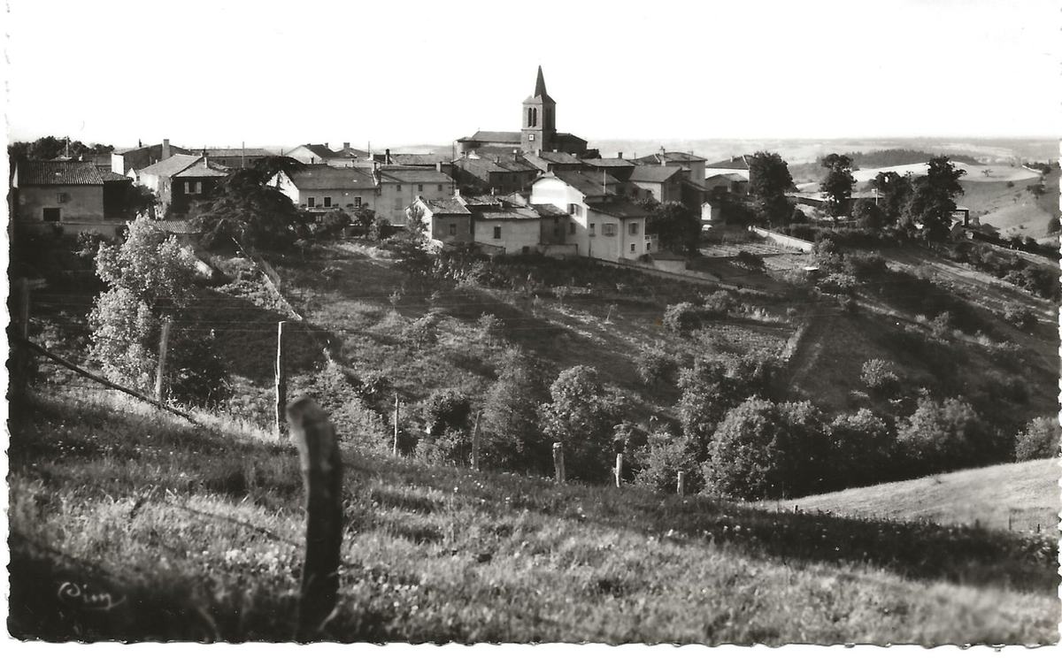 Carte postale ancienne en noir et blanc : panorama du village de Vendranges et de son clocher, vu depuis les prés et vignes environnants.