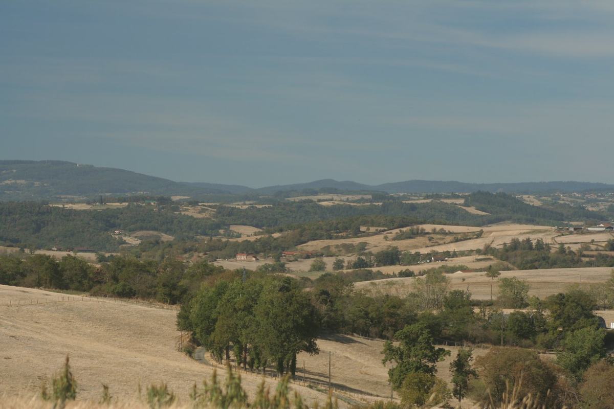 Vue sur la campagne de Vendranges, champs cultivés, haies et hameaux dispersés dans la vallée.